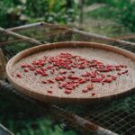 Menggali Keunikan Geprek Bensu Padang Murah di Tengah Kota