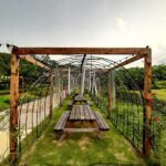 How Geprek Bensu Padang Pedas Became a Social Media Sensation