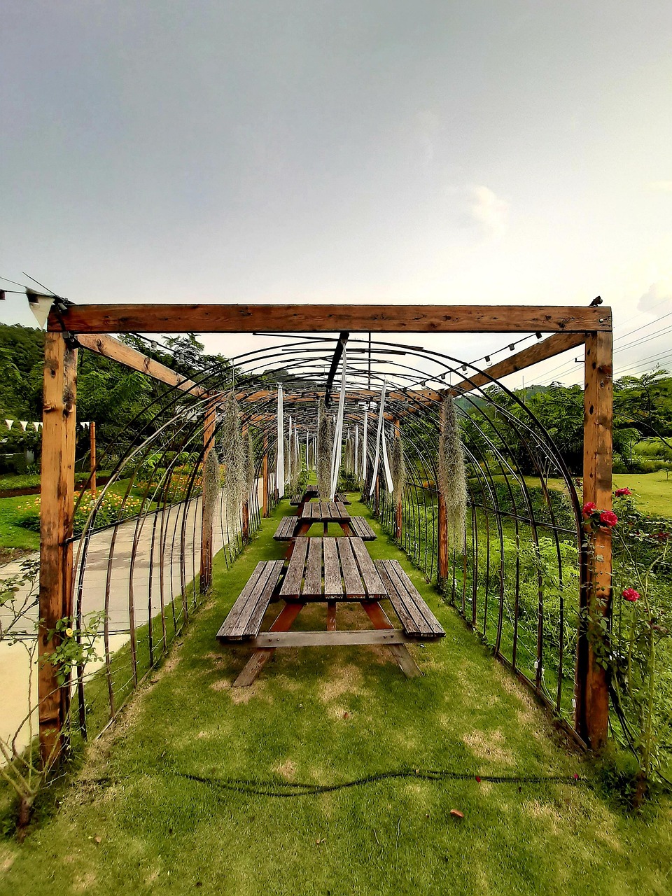 How Geprek Bensu Padang Pedas Became a Social Media Sensation